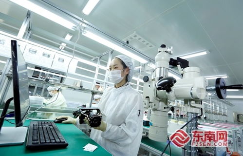 逆勢增長 泉州開發區電子信息產業如何化危為機