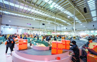 泉州電商企業抱團發力 特色園區落成助力人才集聚